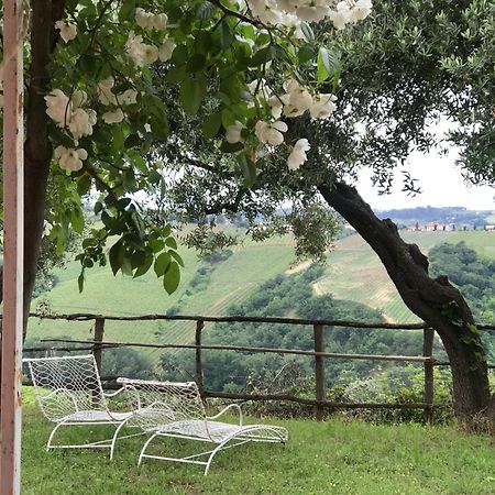 Agriturismo Campoletizia Miglianico Buitenkant foto