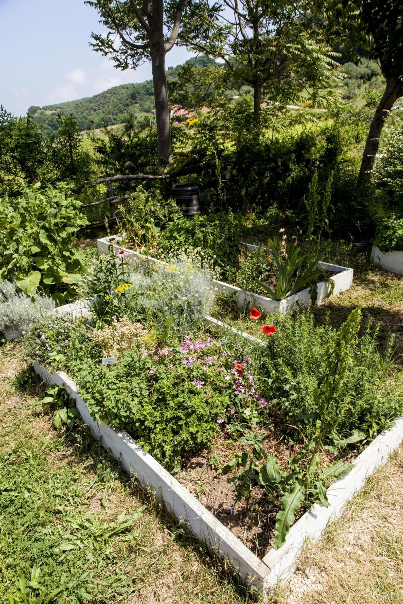 Agriturismo Campoletizia Miglianico Buitenkant foto