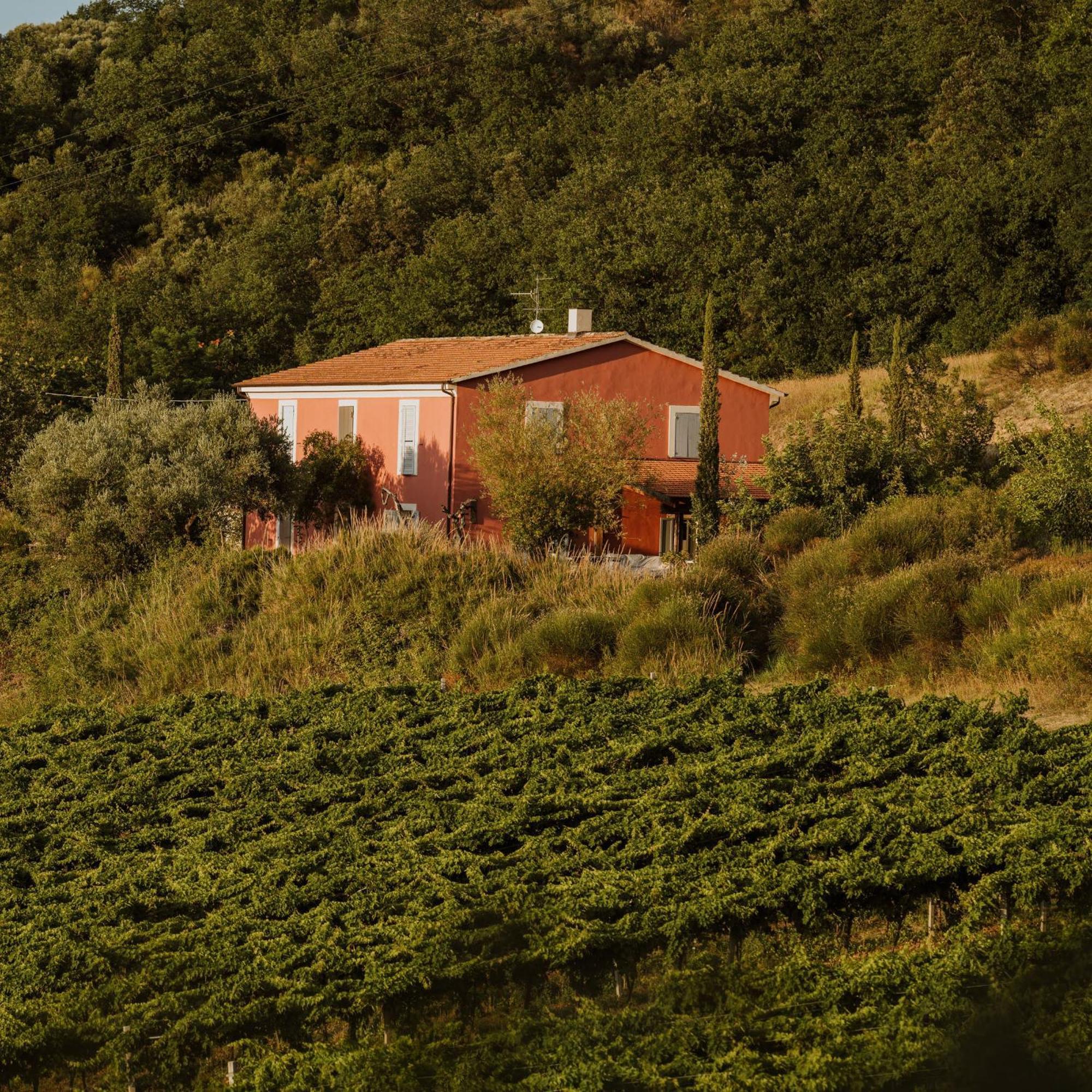 Agriturismo Campoletizia Miglianico Buitenkant foto